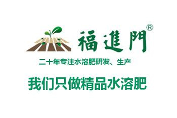 福进门水溶肥 福进门水溶肥